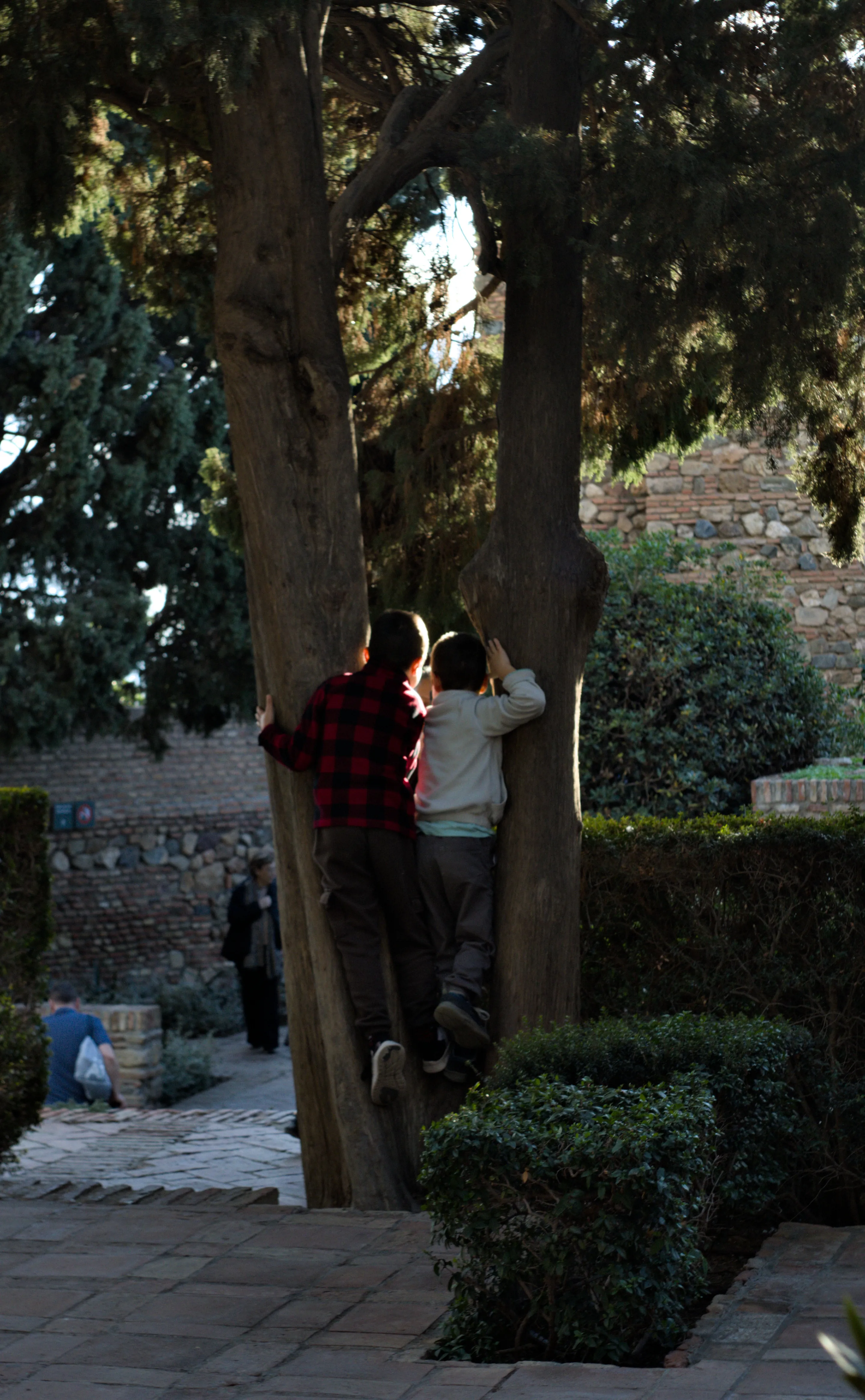 Meyer-Optik Görlitz Primagon 35mm f4.5 (M42) - _I4A7507.webp